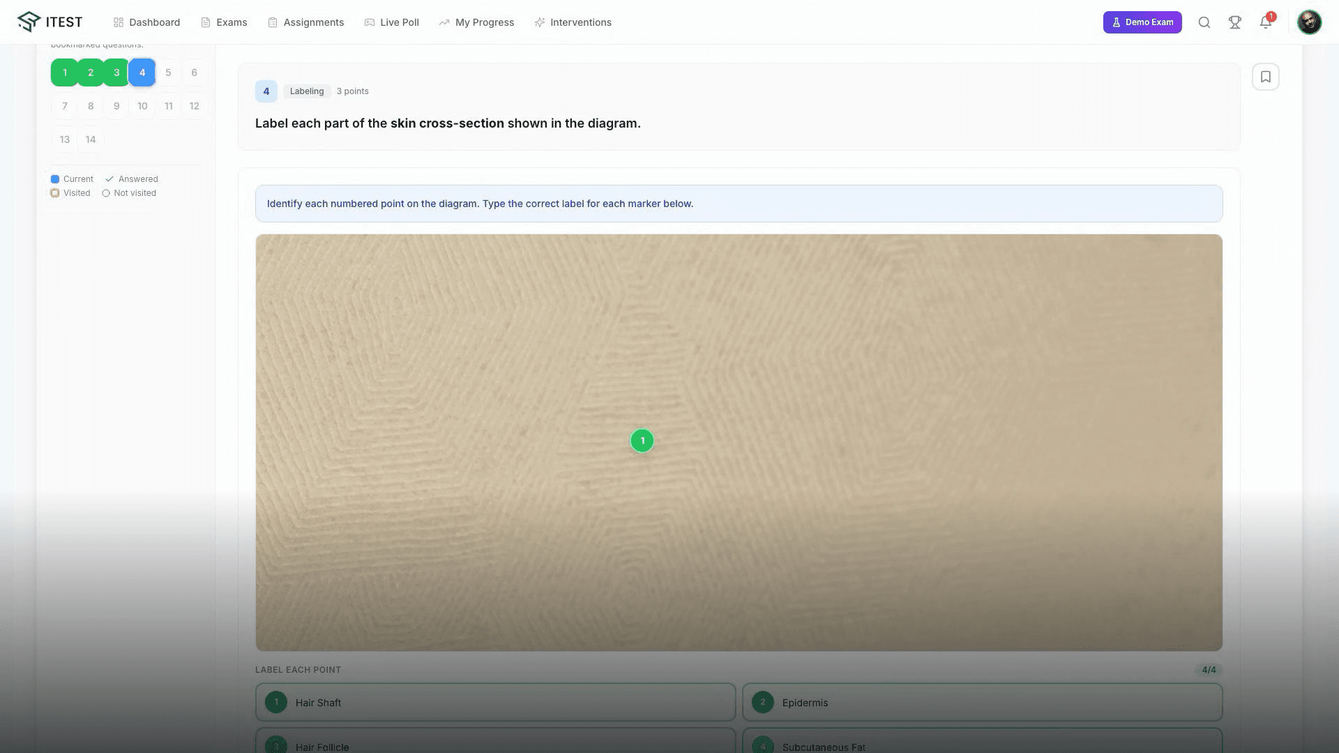 Itest — Multi-Tenant Examination SaaS Platform