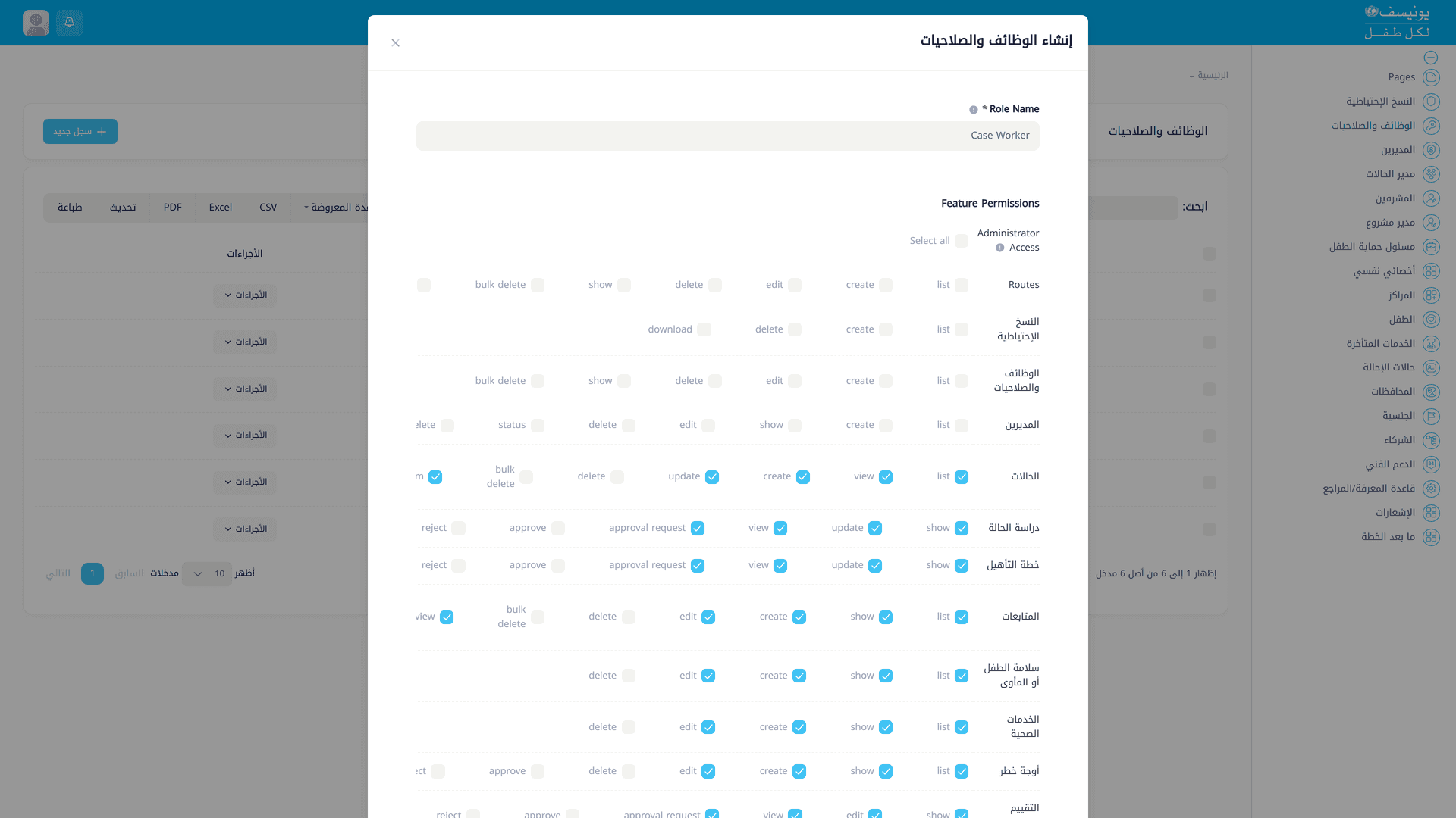 UNICEF Child Protection — Case Management System